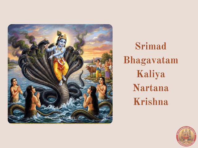 SriKrishna's Leelas 14 - Krishna subdues the giant snake Kaliya by dancing on its head