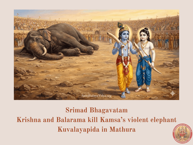 SriKrishna's Leelas 22 - Krishna and Balarama kill Kamsa's violent elephant Kuvalayapida in Mathura