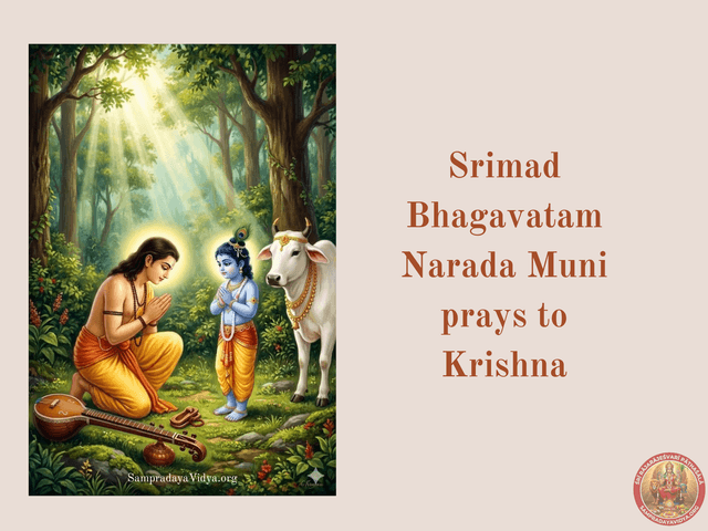 SriKrishna's Leelas 18 - Narada Muni visits Krishna to see MahaVishnu's avatara