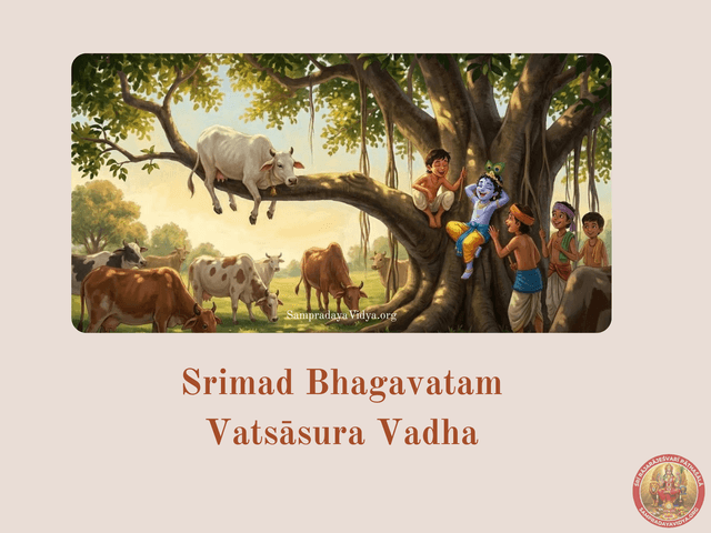SriKrishna's Leelas 8 - Krishna kills Vatsasura, who hides among his cows