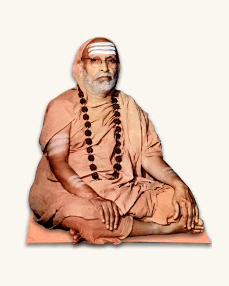 Sri Abhinava Vidyatirtha Mahaswamiji