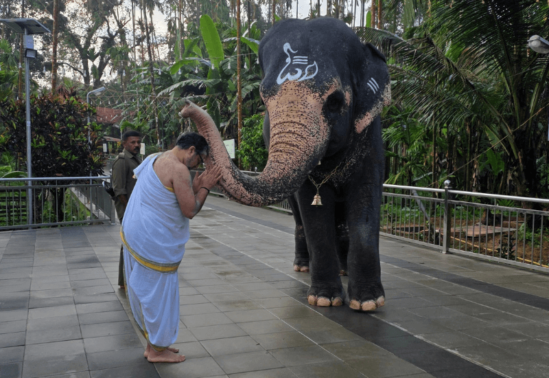 Sringeri September 2025 - 2